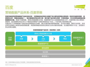 中國數據驅動型互聯網企業大數據產品研究報告 軟件外包服務的革新之路